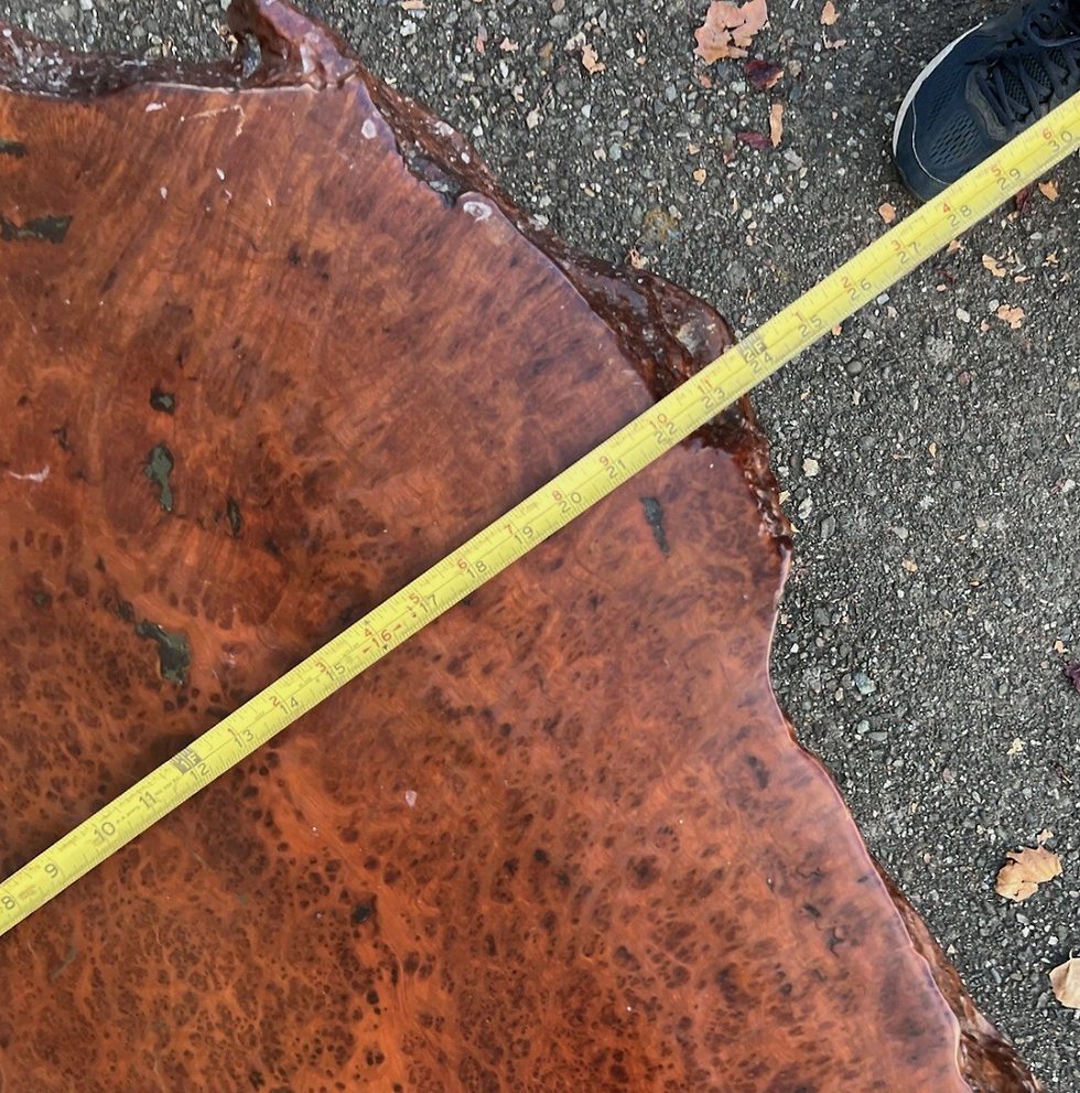 Thumbnail: Vintage Small Burl Wood Side / End Table With Unique Branched Base