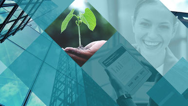 "Grow or Die" - How Business Acumen Accelerates Change Management