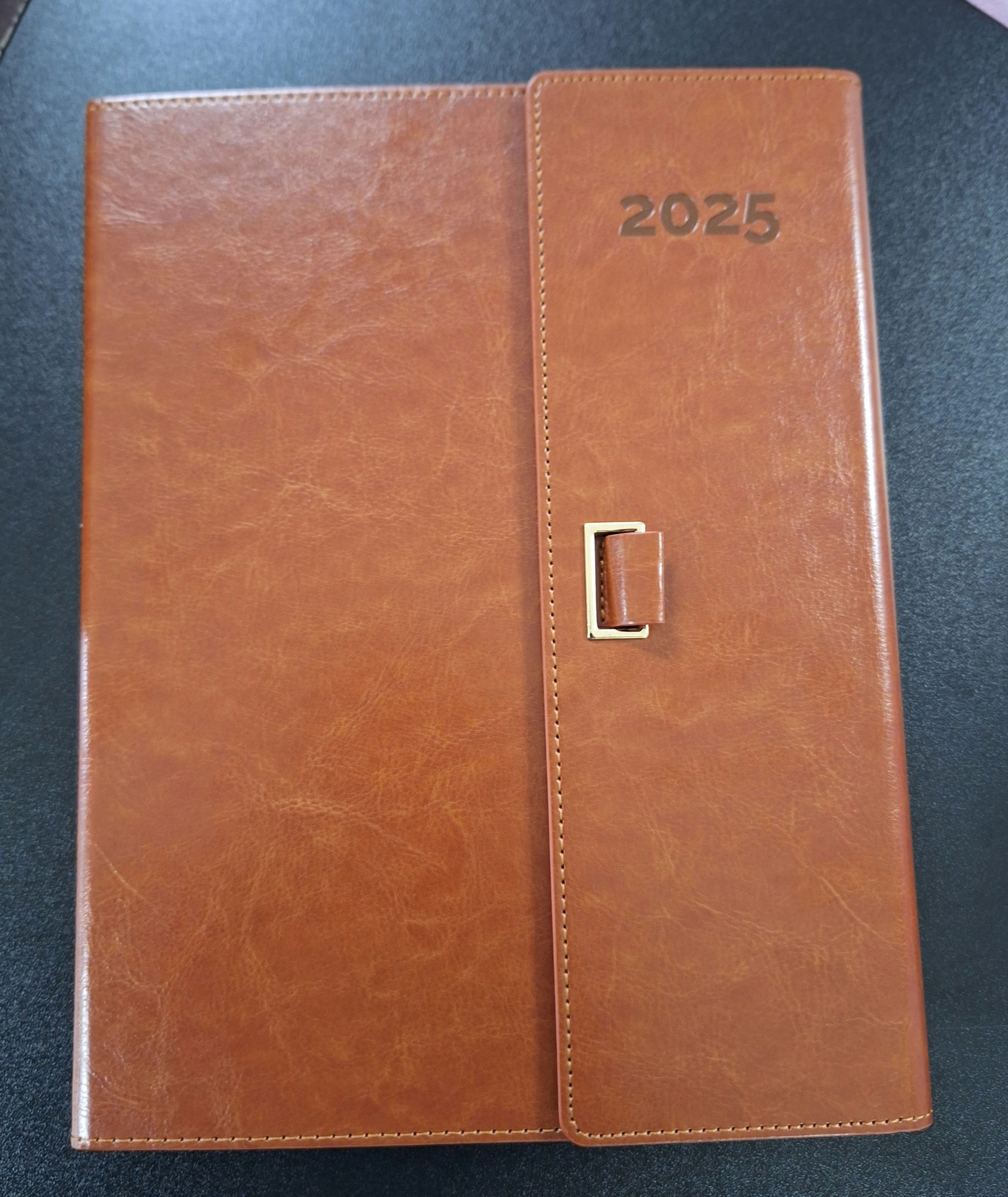 Large 2025 Diaries Planners