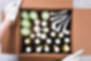 Empty Proprietary packaging components recycling - shows person holding box full of different empty personal care product containers