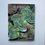 Thumbnail: Seashells Book