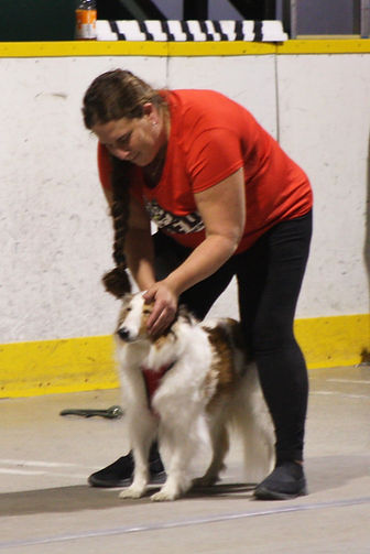 IMG_1385.JPG