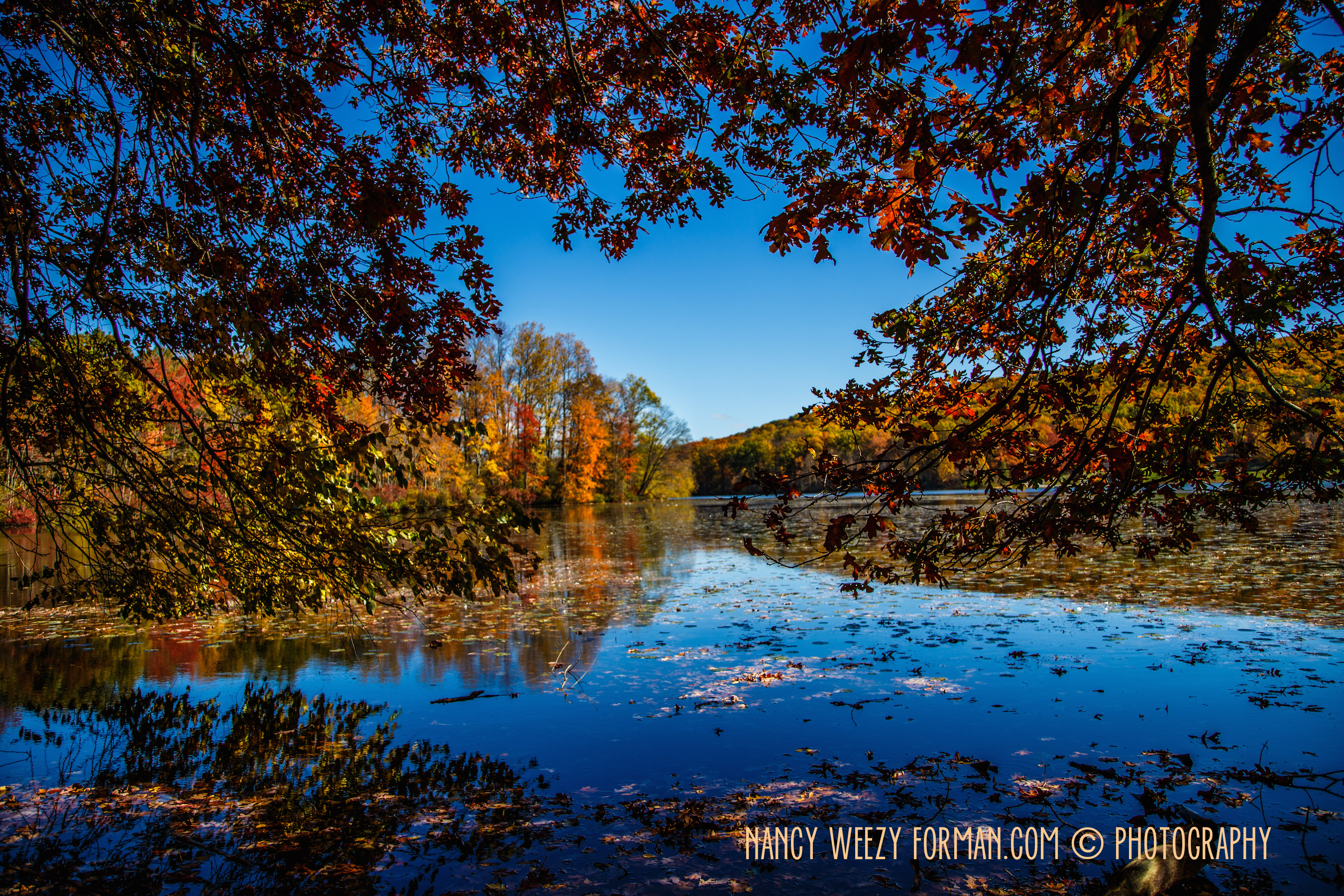 Autumn Day