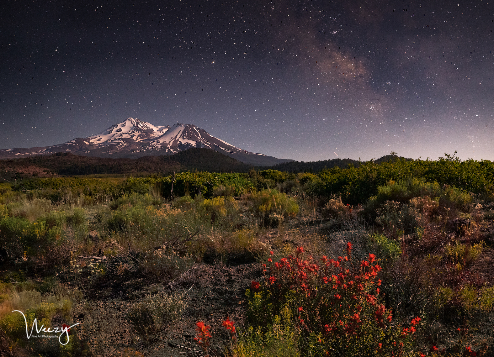 Mt. Shasta & Moonlight