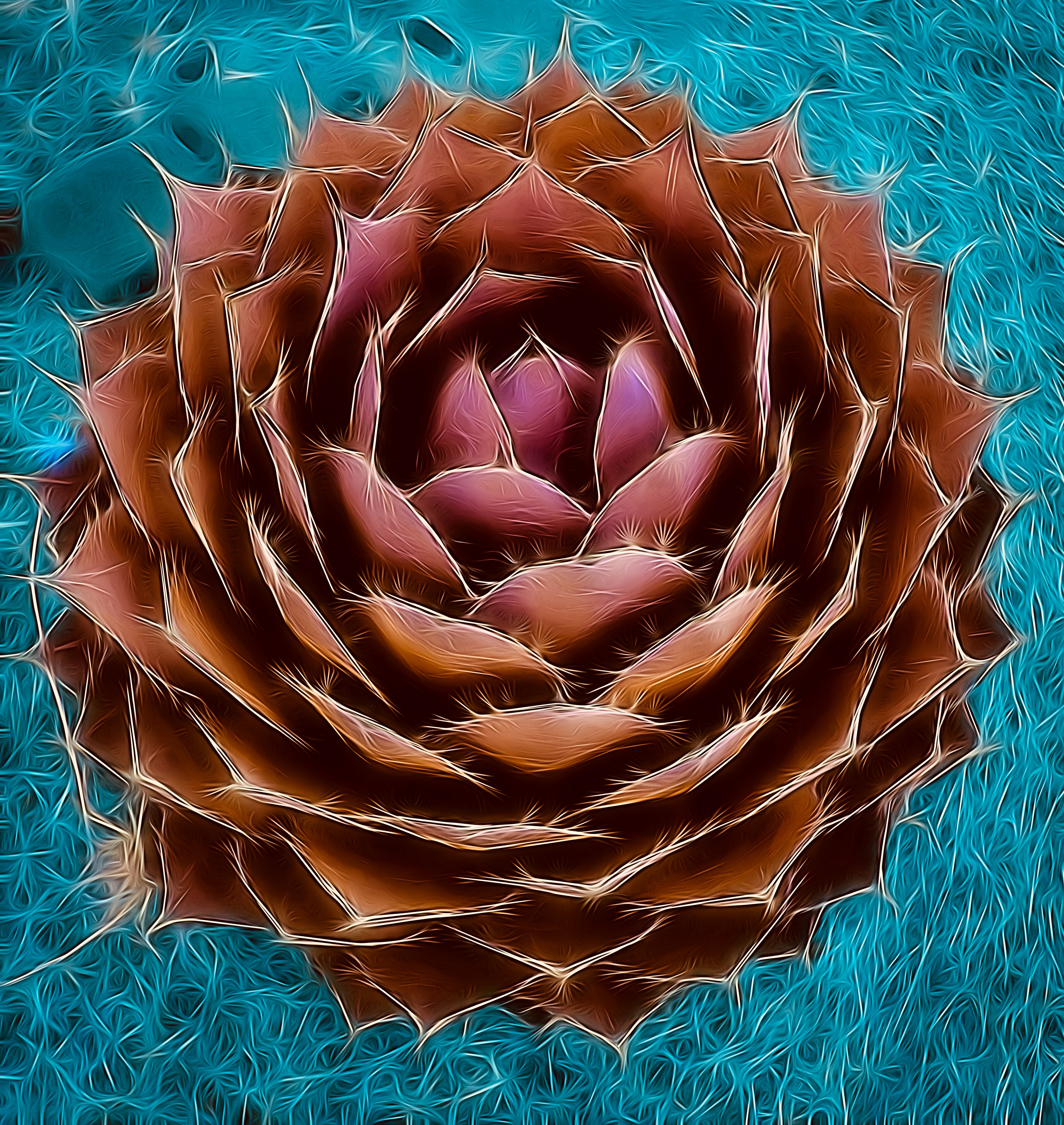 Artistic Agave ~ Coral / Turquoise