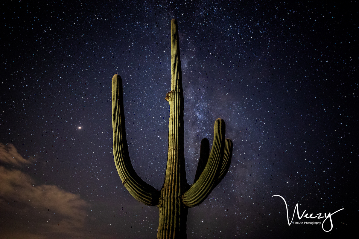 Saguaro Galaxy