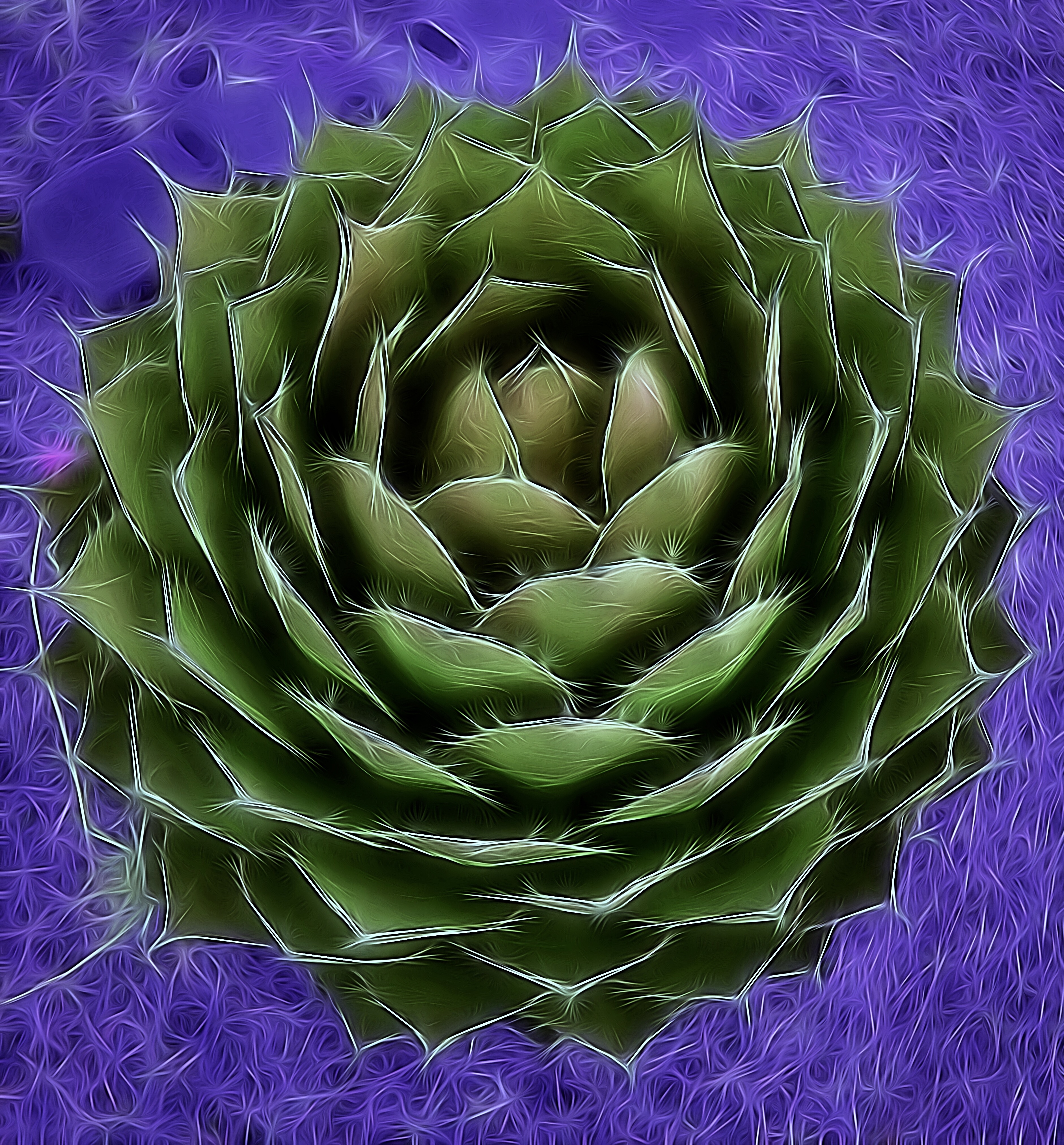 Artistic Agave Green/Purple