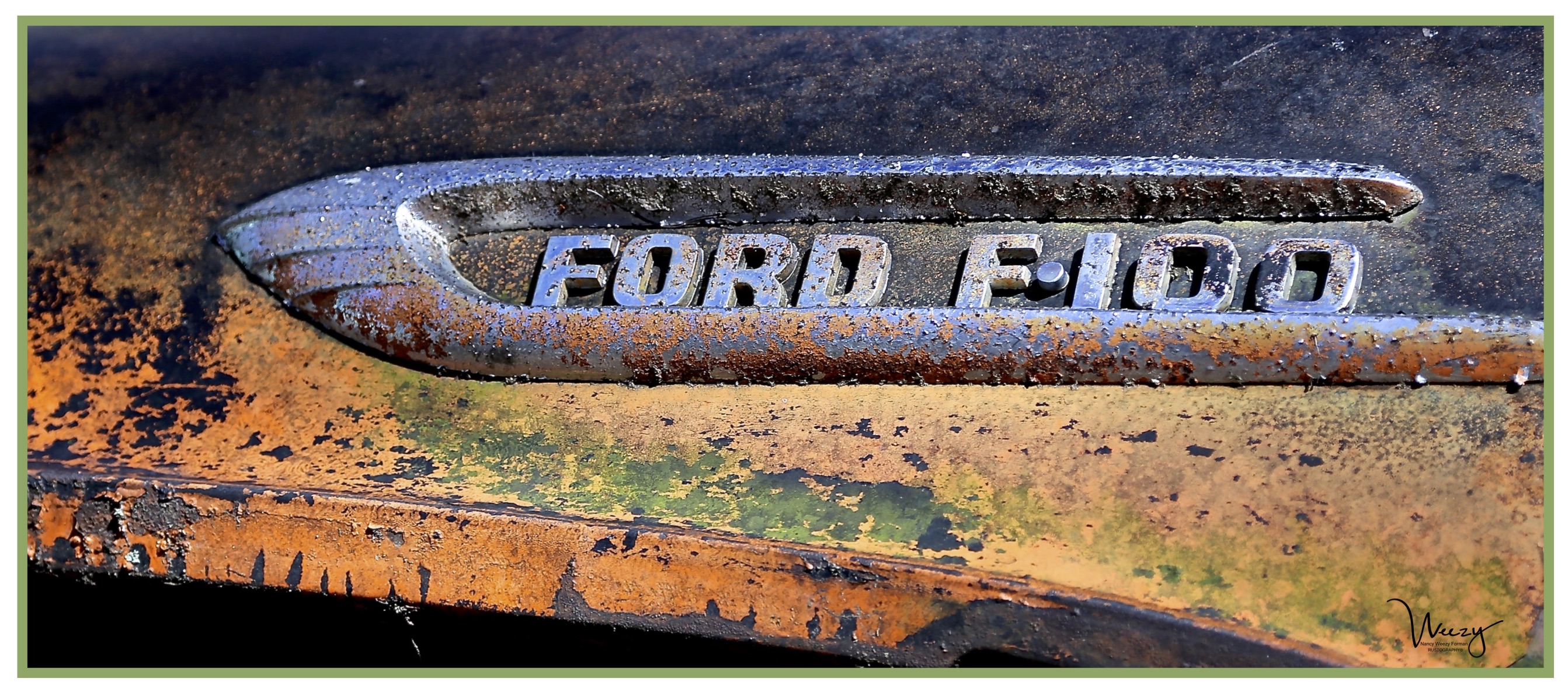 FORD F-100