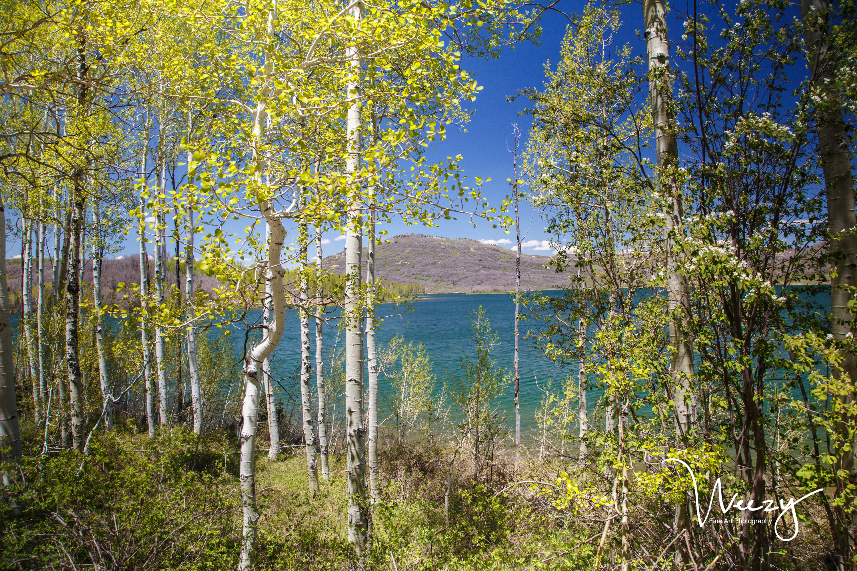 Kolob Reservoir