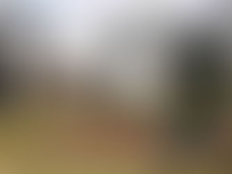 How to Sell Your Home for Top Dollar in Bardstown, KY