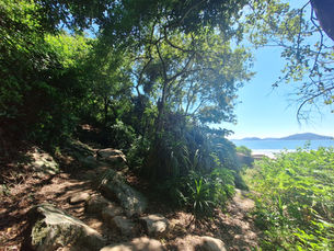 TransLantau 140 Race Report