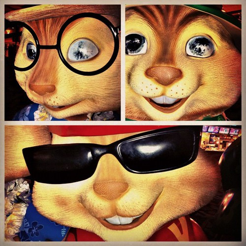 186: blind chipmunks
