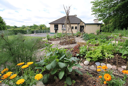 D Begley Monk's Garden 1.jpg