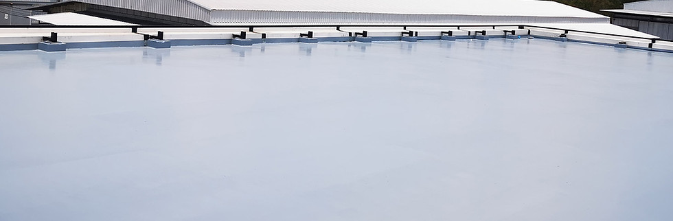 industrial roof new paint.jpg