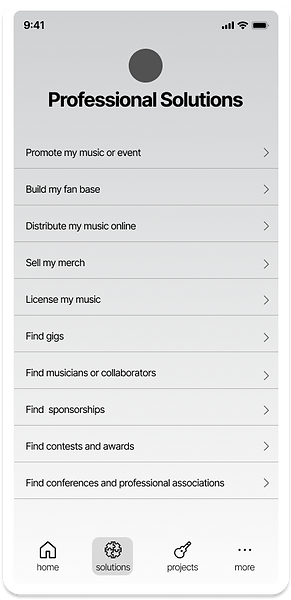 bandrise professional solutions