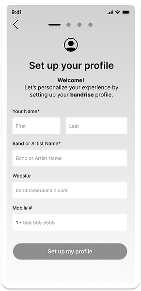 bandrise profile setup