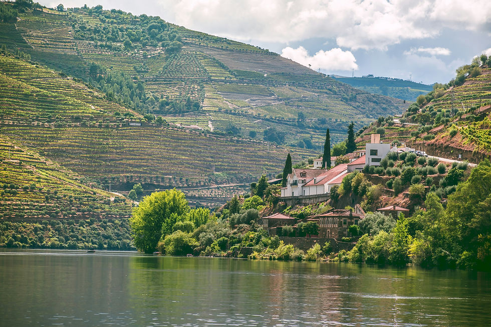 Wine Country