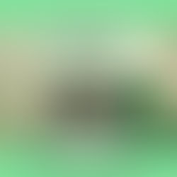 Estate Planning Awareness Week 2020