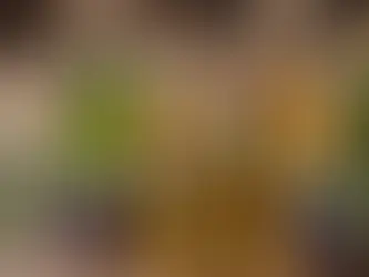 The Unknown Benefits of Kolkata Massage: Harnessing the Healing Power of Essential Oils