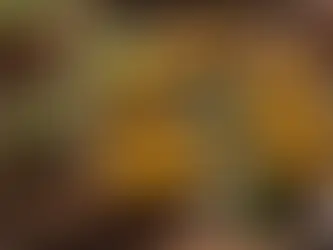 Unveiling the Varied Palette of Massages in Kolkata: A Comprehensive Guide for Every Body’s Needs