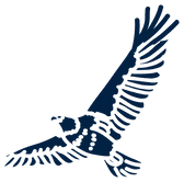 Hawks Group Construction Logo Symbol.png