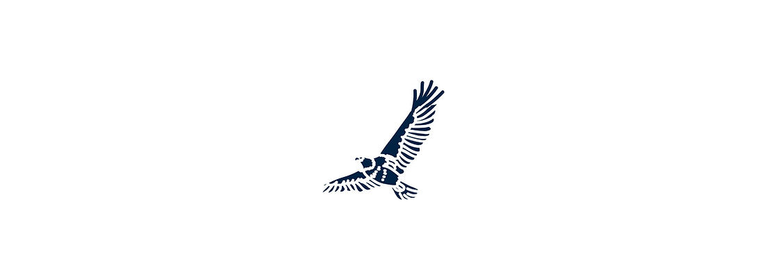 Hawks Group Construction Logo Symbol 2400x1800.jpg