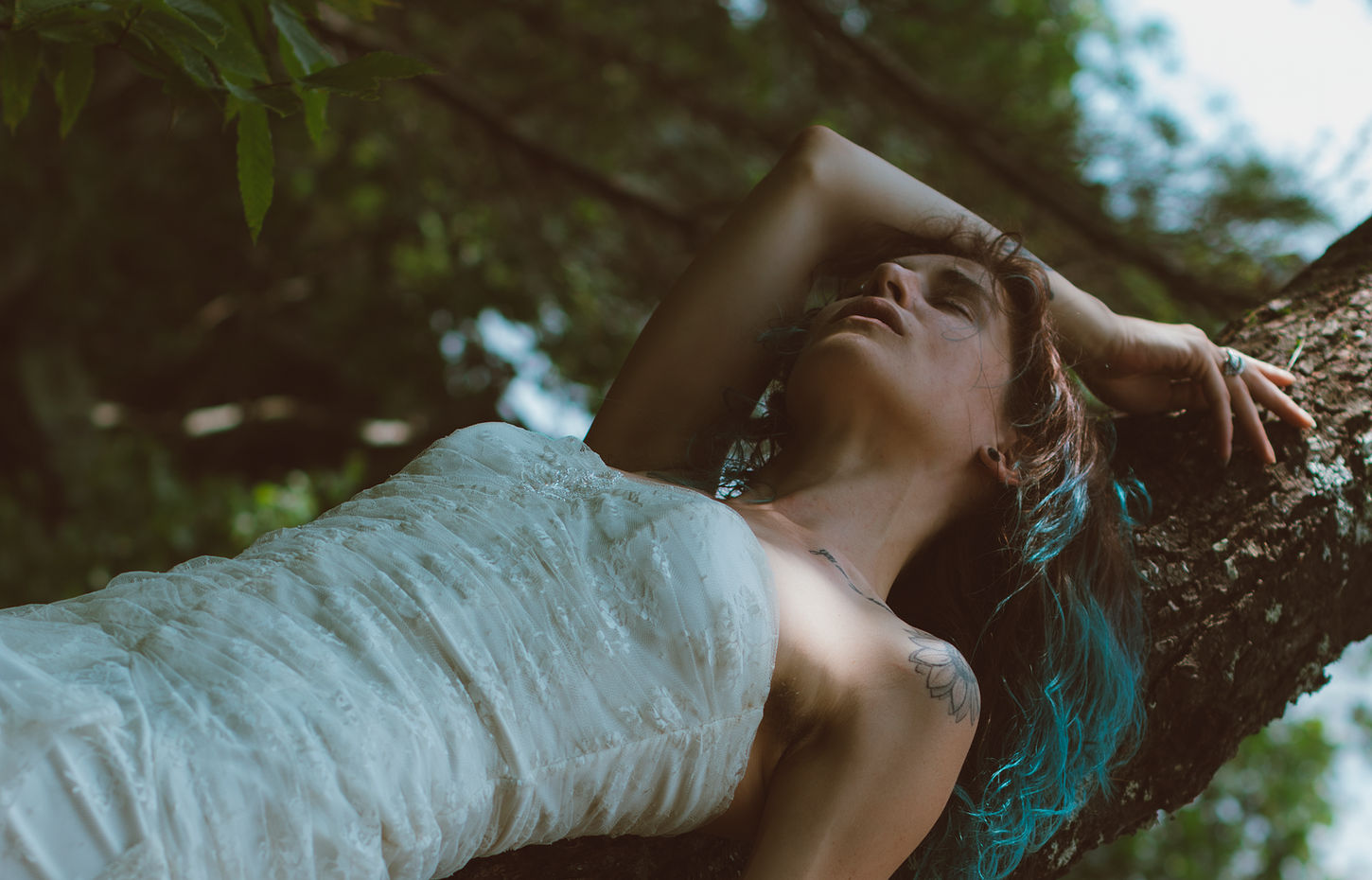 Woman laying on a tree branch by the water's edge in a beautiful white dress — fine art outdoor portrait by Lexi Bird Photography, Bucks County PA