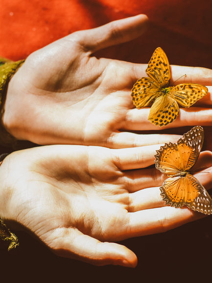 Closeup of hands holding two butterflies. Creative senior portrait photography by Lexi Bird Photography, Esoterica, New Hope, Bucks County PA