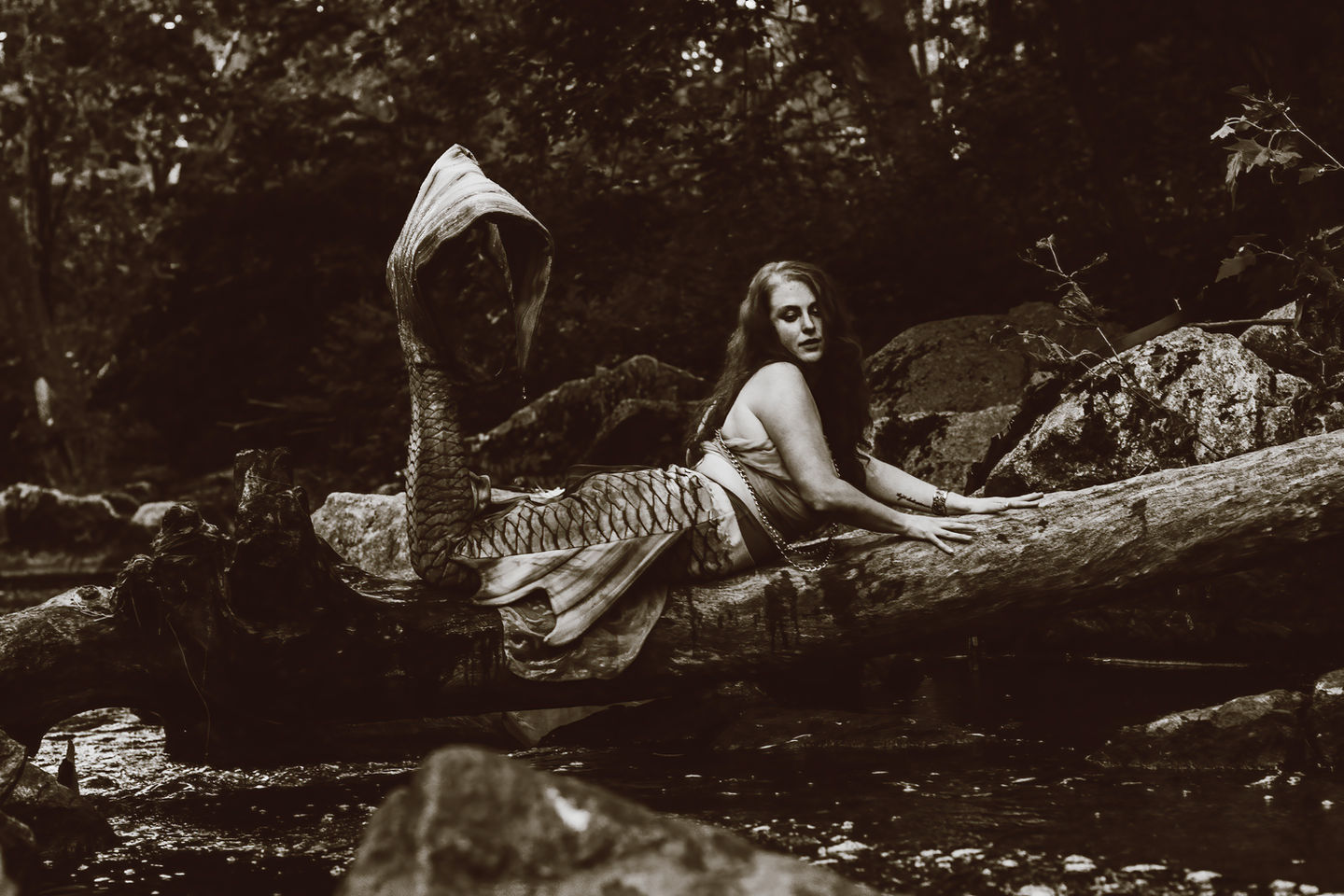 A beautiful mermaid rests on a fallen tree trunk above a creek. Moody and dark. Huntingdon Valley, PA, Lexi Bird Photography