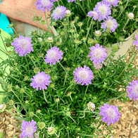IMG_4123.jpeg
