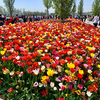 IMG_4187.jpeg