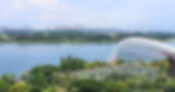 view website cover.jpg