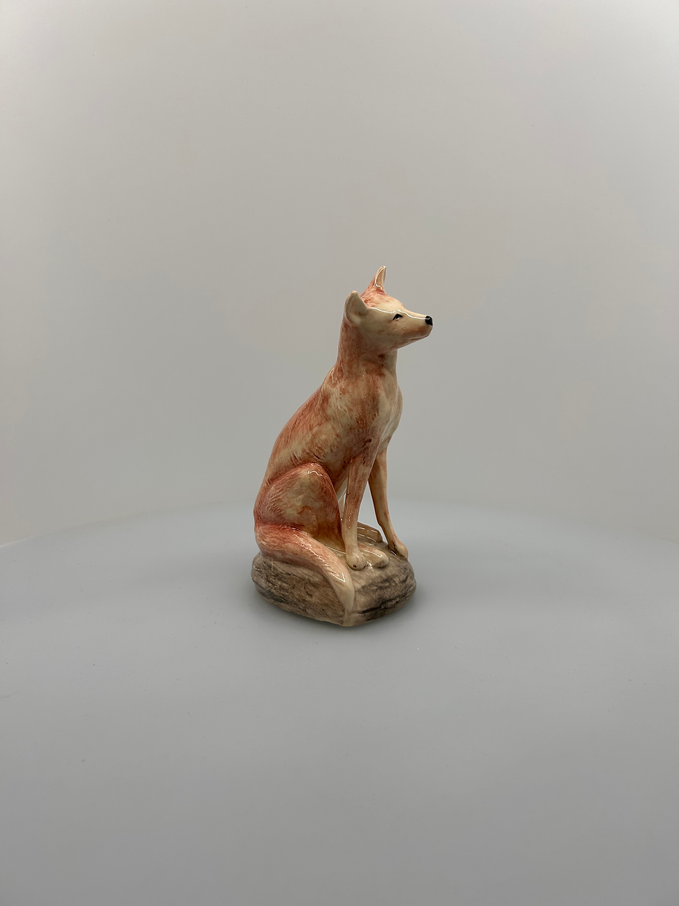 Thumbnail: Small Dingo