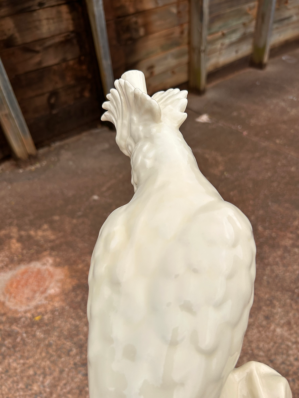 Thumbnail: Oopsie daisy solid white cockatoo 