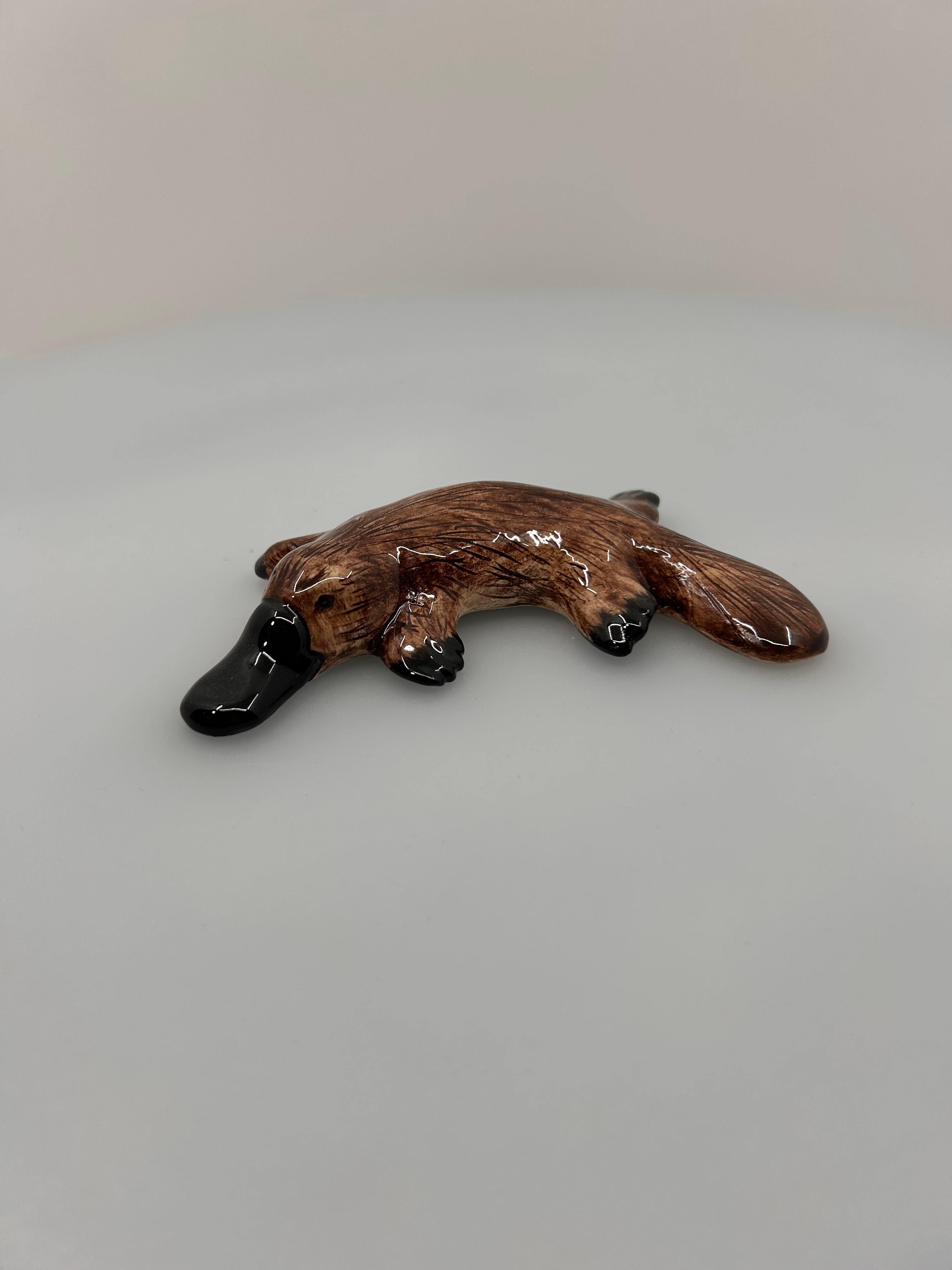 Mini Platypus