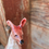 Thumbnail: Oopsie Daisy Kangaroo and Joey 