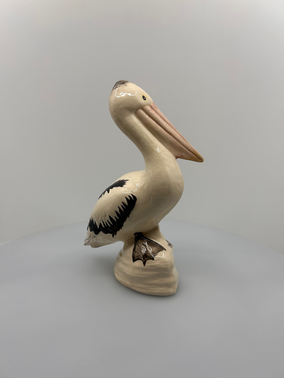 Thumbnail: Small Pelican