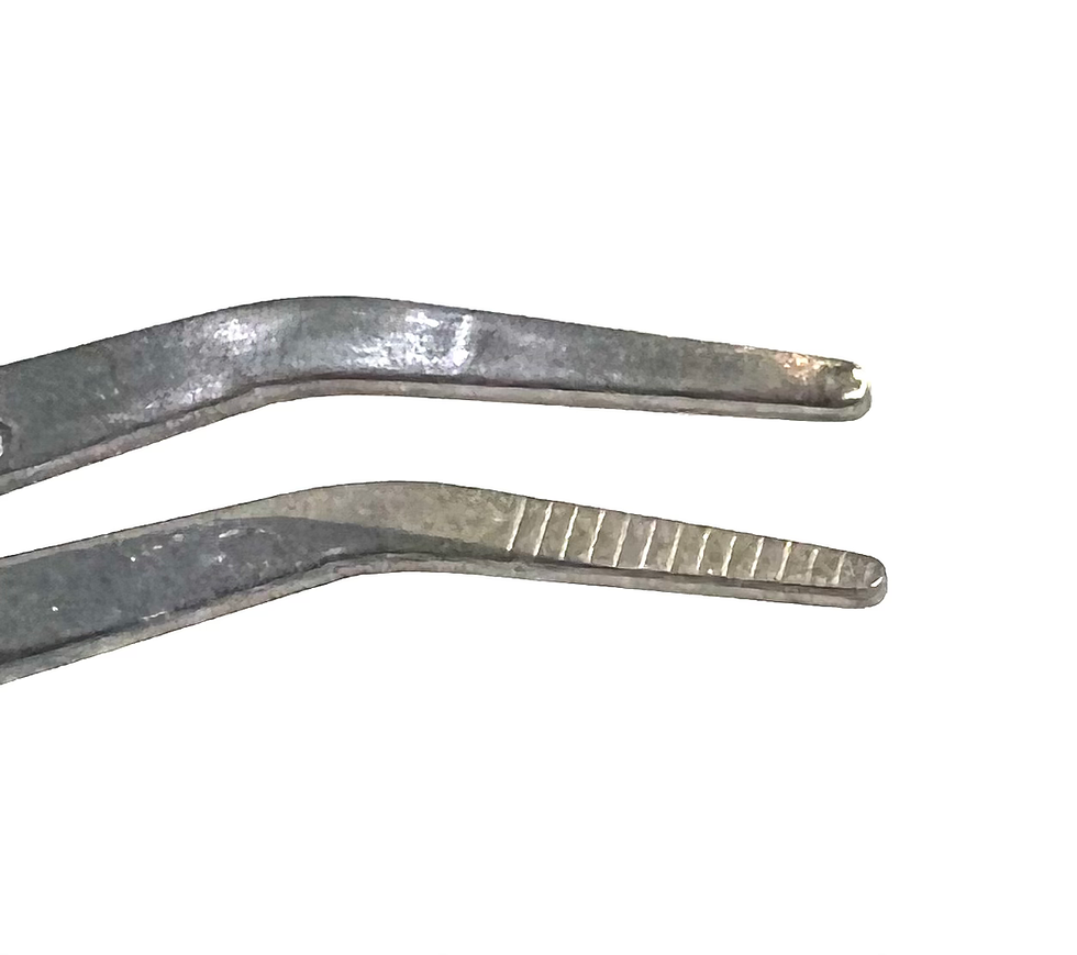 Miniatyrbilde: Stor god pinsett - 16,5cm - god spenst og gripe-evne