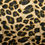 Miniatyrbilde: Lycralignende stoff med børstet fremside, fløyelsmykt, med leopardmønster