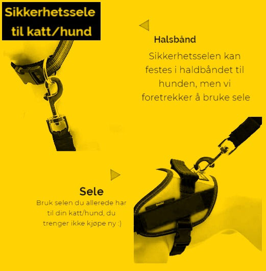 Miniatyrbilde: Sikkerhetssele / bilbelte - GUL - til hunder  og katter -