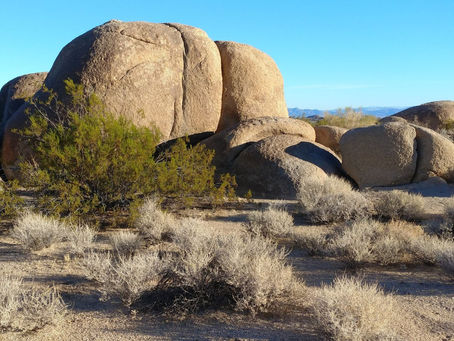 Shamanism & Psychotherapy: A Powerful Healing Approach