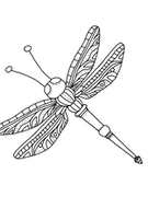 dragonfly 2.png