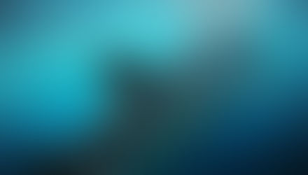 Swimming with the Whale Sharks in Oslob, Cebu