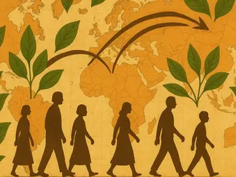 Colonialism, Labor, Ecologies