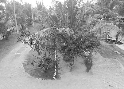 Garden Before (1)_edited.jpg