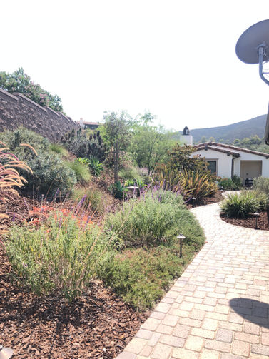 Landscaping encinitas    