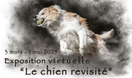 Expo "Le chien revisité"