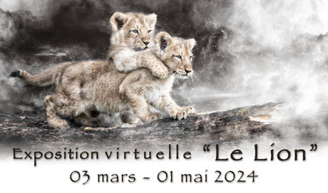 Expo virtuelle "Le Lion"