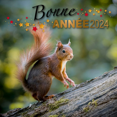 Nos meilleurs voeux pour 2024 !