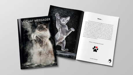 Le chat messager